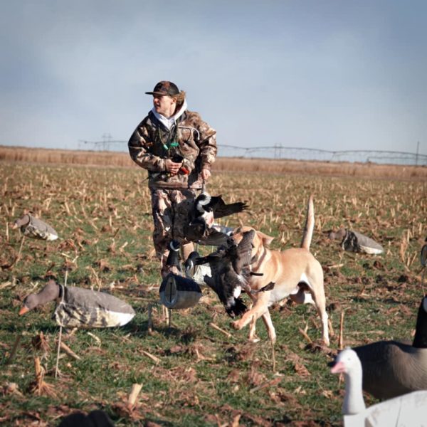 Guaranteed Guide Service Bird, Duck & Goose Hunts 4