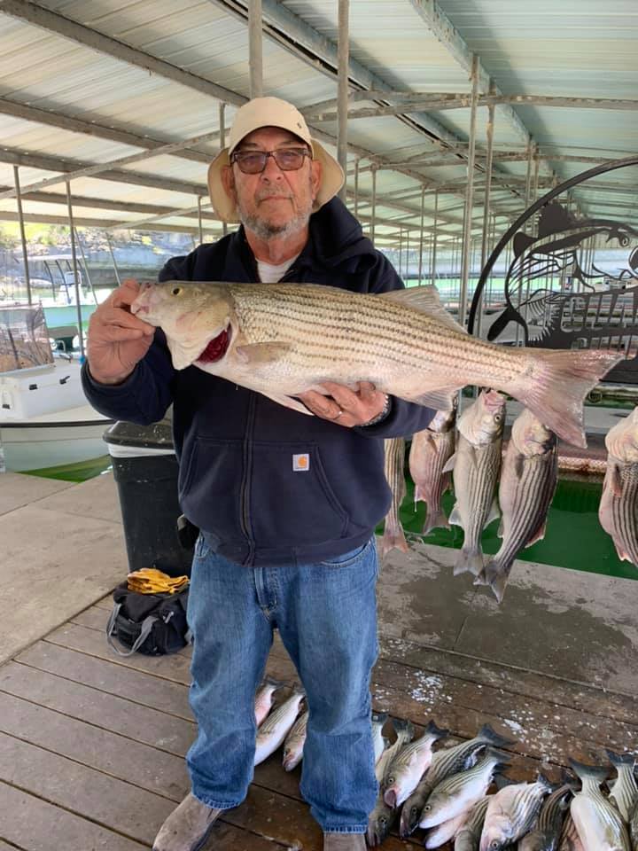 Guaranteed Guide Service Striper Bass Fishing Lake Whitney