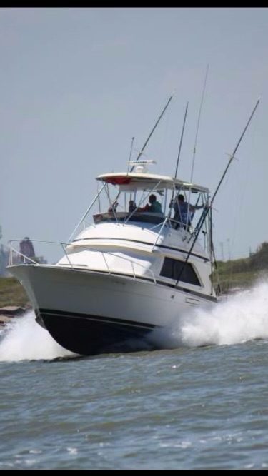 Guaranteed Charters Freeport, Texas Saltwater Fishing Trips 10